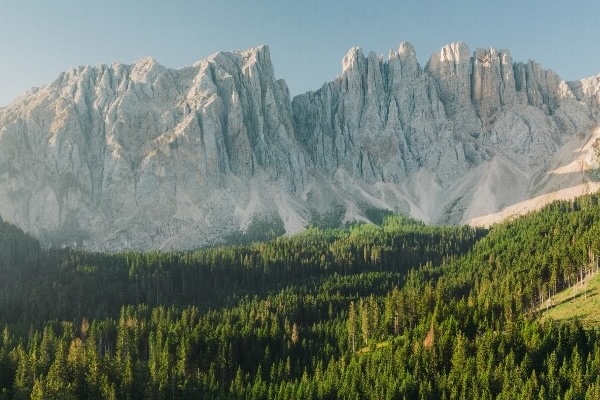 A jagged mountain range sits in front of a blue sky and above a hill forested with evergreen trees.